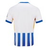 Conjunto (Camiseta+Pantalón Corto) Brighton Hove Albion Primera Equipación 2024-25 - Niño